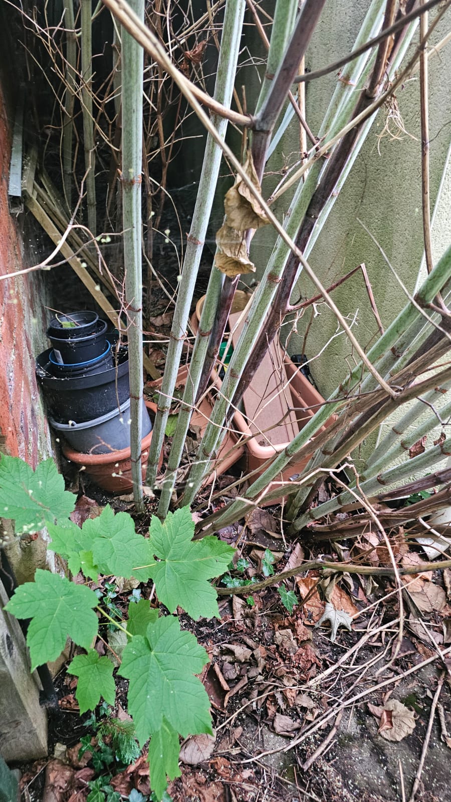 Stand crossing a residential boundary fence — a common neighbour-dispute trigger.